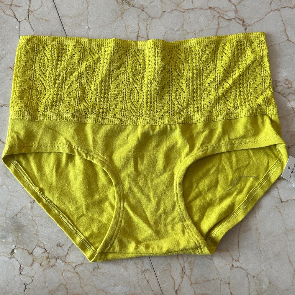 NWT Aerie Lace Boybrief
